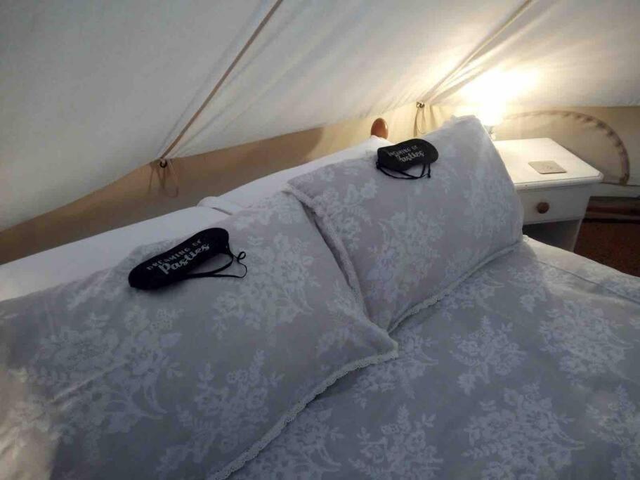 Cox Hill Glamping Badger Hotel Truro Ngoại thất bức ảnh