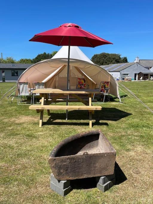 Cox Hill Glamping Badger Hotel Truro Ngoại thất bức ảnh